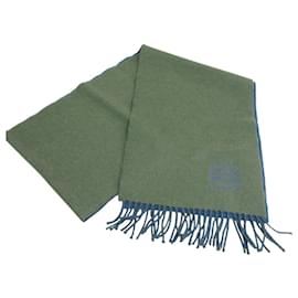 Sciarpa in misto cashmere con frange bicolore ricamata con il logo Loewe