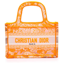 Dior Arancione Mini Tela Ricamata Dioriviera Borsa da Libro