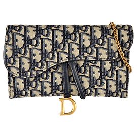 Christian Dior Saddle Wallet on Chain
