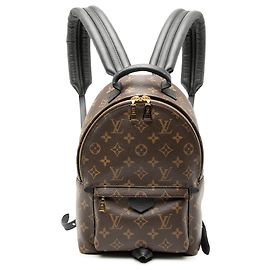 Louis Vuitton Marrone Monogramma Palm Springs PM