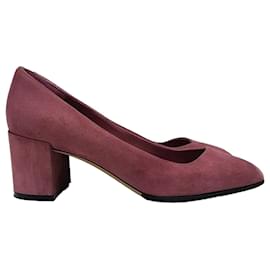 Salvatore Ferragamo Scarpe in scamosciato da donna