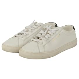 Sneakers Sequence Tab - Saint Laurent