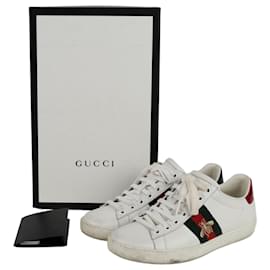 Ace Sneakers - Gucci