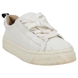 Chloé Lauren Sneaker Größe