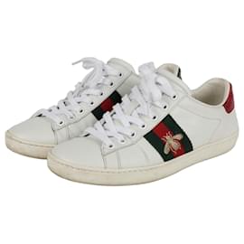Ace Sneakers - Gucci
