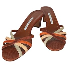 Mule in pelle di serpente con punta aperta Manolo Blahnik