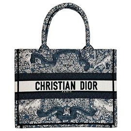 Christian Dior Book Tote Medium Ricamo Blu e Bianco