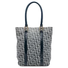 Borsa Tote in tela Trotter Diorissimo blu di Dior