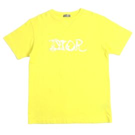 Camiseta de algodón y poliéster Dior Peter Doig