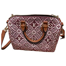 Louis Vuitton Speedy 25 Bandoliera in Jacquard