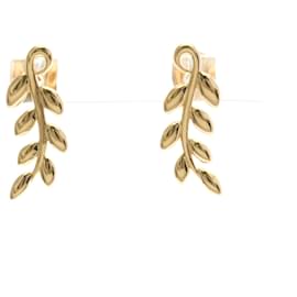 Orecchini a perno Tiffany Foglia d'Olivo - Tiffany & Co
