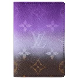 Louis Vuitton Neuer LV Taschenorganizer