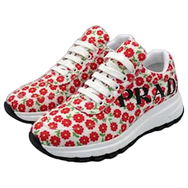 Prada Originali e Nuovi! Sneakers n. 36,5