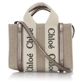 Borsa Tote Mini Lucida Woody - Chloé