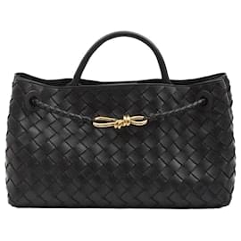 Bottega Veneta Small Andiamo