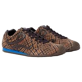 Loewe Sneakers in Suede Stampate Ballet Runner