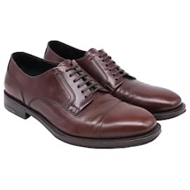 Scarpe Derby a punta in pelle marrone Salvatore Ferragamo
