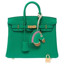 Hermès Borsa HERMES Birkin 25 in Pelle Verde - 103385