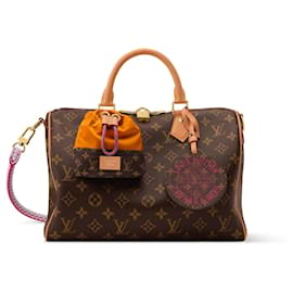 Borsa a mano Louis Vuitton Speedy Soft 30 Marrone in Tela
