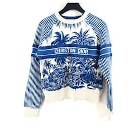 Logo Palm Cashmere Lana Lavorata a Maglia - Dior