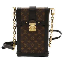 Louis Vuitton Pochette Trunk Vertical