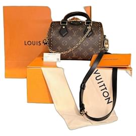 Louis Vuitton Speedy Trunk 20 Monogramma
