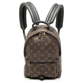Louis Vuitton Braun Monogramm Palm Springs PM