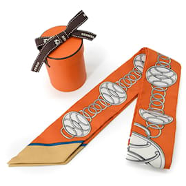 Lenço Perfil Lift Twilly Hermès