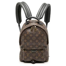 Louis Vuitton Monogram Palm Springs PM Rucksack