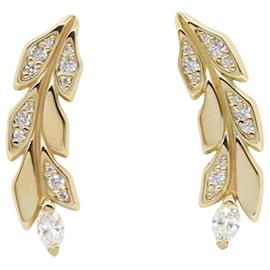 Orecchini Victoria Vineclimber di Tiffany & Co.
