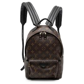 Louis Vuitton Braune Monogram Palm Springs PM