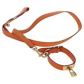 Hermès HERMES Laisse pour Chien Toile Bleue Auth am6511 ref