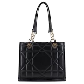 Borsa Tote Essenziale Piccola Dior Borsa in Pelle