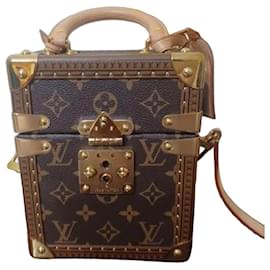 Borsa Louis Vuitton Monogram Camera Box