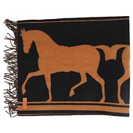 Hermès Sciarpa in cashmere Brown Horses
