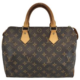 Borsa a mano Speedy Louis Vuitton in tela Monogram 30