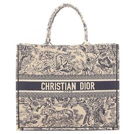 Borsa grande BOOK TOTE di Christian Dior