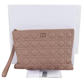 Dior Pochette Large Daily Carro