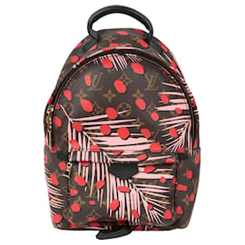 Louis Vuitton Mochila Palm Springs Pm Size