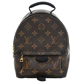 Louis Vuitton Marrone Monogram Mini Palm Springs