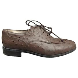 Autre Marque Renouard Derby in pelle di struzzo