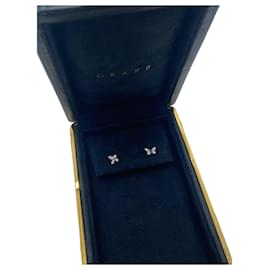 Orecchini Graff Gravi in diamanti e oro bianco