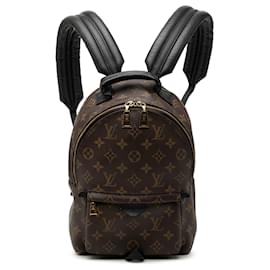 Louis Vuitton Marrone Monogram Palm Springs PM