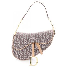 Borsa Saddle Christian Dior Trotter