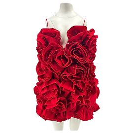 Vestido rojo Magda Butrym x H&M
