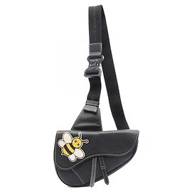 Christian Dior Dior x Kaws Saddle Bag