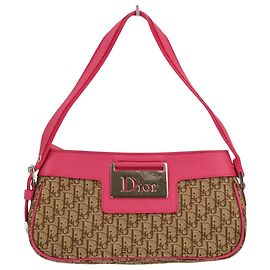 Borsa Christian Dior Trotter Street Chic