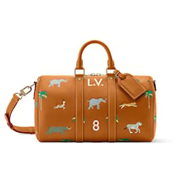 Louis Vuitton Keepall Bandoulière 35 x The Darjeeling Limited