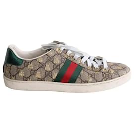 Gucci Braune Sneaker