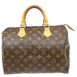 Louis Vuitton Speedy Monogram Canvas 30